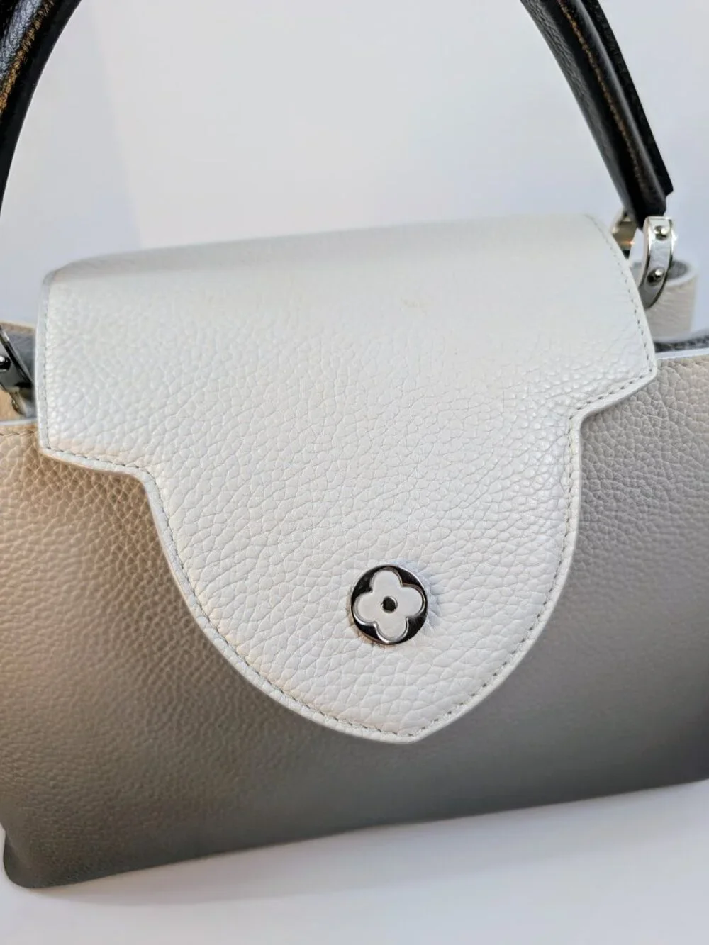 Louis Vuitton Light Grey Degrade Taurillon Leather Capucines PM Bag
